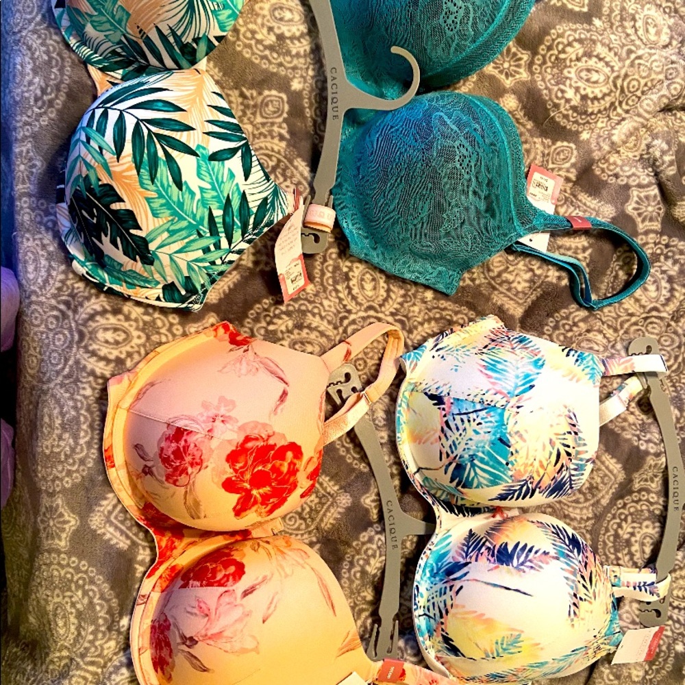 LANE BRYANT BRAS TAGS ON